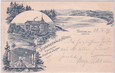 79822 Titisee (Titisee-Neustadt), Schwarzwald-Hotel, Litho, ca. 1890 