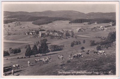 79853 Saig (Lenzkirch), Schwarzwald, ca. 1940 