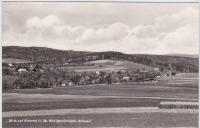 01824 Rosenthal-Bielatal, Ortsansicht, ca. 1960 