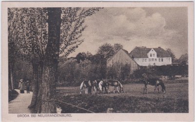 17033 Broda (Neubrandenburg-West), Wegeansicht, ca. 1925 