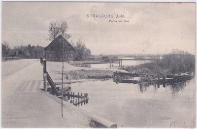 17335 Strasburg (Uckermark), Partie am See, ca. 1910 
