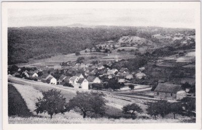 53498 Gönnersdorf bei Niederbreisig, Ortsansicht, ca. 1950