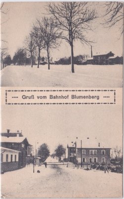 39164 Blumenberg (Wanzleben), Bahnhof, ca. 1915 