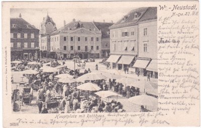 Wiener Neustadt (Niederösterreich), Markt, ca. 1900