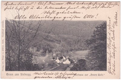Steinegg (Gemeinde Altenburg), Gasthaus Zur Neuen Welt, ca. 1900 