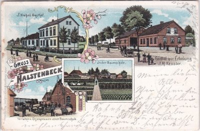 25469 Halstenbek, u.a. Bahnhof, Farblitho, ca. 1900 