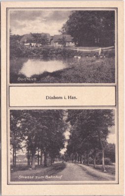 29664 Düshorn in Hannover (Walsrode), Straße zum Bahnhof, ca. 1925