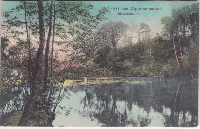 14806 Dippmannsdorf (Bad Belzig), Mühlenteich, ca. 1910