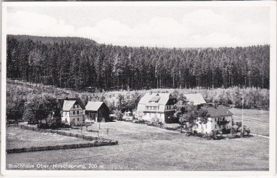 01773 Ober-Hirschsprung (Altenberg/Erzgebirge), Buschhaus, ca. 1940