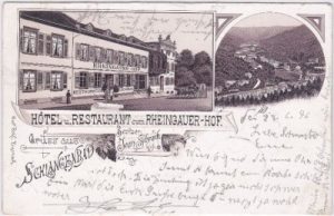 65388 Schlangenbad, Hotel Rheingauer Hof, Litho, ca. 1895