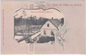 49170 Hagen am Teutoburger Wald-Mentrup, Fischzucht, ca. 1900