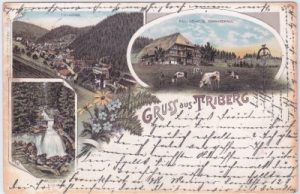 78098 Triberg (Schwarzwald), u.a. Bauernhaus, Farblitho, ca. 1895