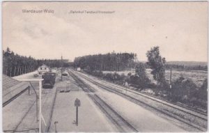 07987 Teichwolframsdorf (Mohlsdorf), Bahnhof, ca. 1920