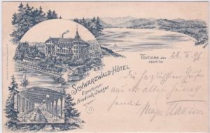 79822 Titisee (Titisee-Neustadt), Schwarzwald-Hotel, Litho, ca. 1890