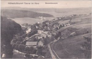 38875 Tanne im Harz, Gesamtansicht, ca. 1915