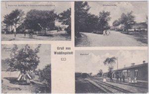 25795 Weddingstedt, u.a. Bahnhof, ca. 1910