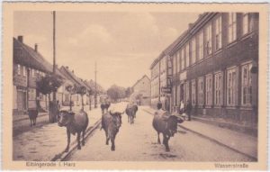 38875 Elbingerode (Harz), Wasserstraße, ca. 1925