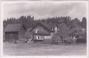 08315 Lauter (Lauter-Bernsbach), Waldhaus, ca. 1950