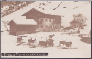 82499 Niedernach am Walchensee (Jachenau), Forsthaus, ca. 1930