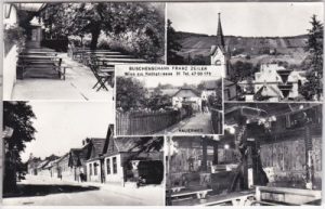 Neustift am Walde (Wien-Döbling), Buschenschank, ca. 1965