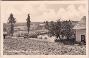 Niederneustift (Niederösterreich), Ortsansicht, ca. 1940