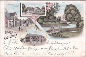 25489 Haseldorf (Holstein), Farblitho, ca. 1900