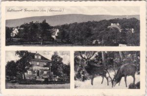 55595 Kreershäuschen/Winterbach (Soonwald), ca. 1935