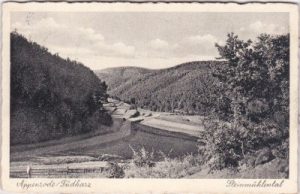 99755 Appenrode (Ellrich am Harz), Steinmühlental, ca. 1935