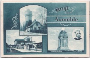 21521 Aumühle, u.a. Bahnhof, ca. 1910