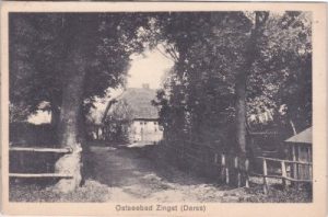 18374 Zingst (Darss), Straßenansicht, ca. 1925