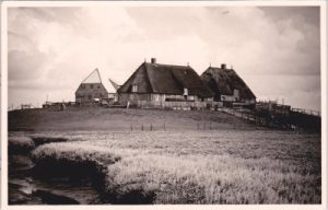 25845 Halligwarft auf Nordstrandischmoor (Hallig), ca. 1935