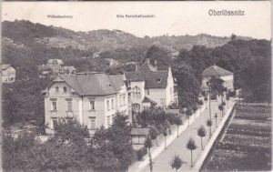 01445 Radebeul-Oberlößnitz, Straßenansicht, ca. 1910