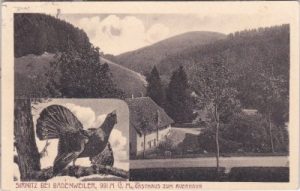 79410 Sirnitz (Badenweiler), Gasthaus Zum Auerhahn, ca.1910