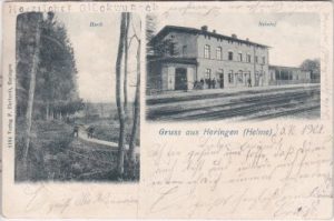 99765 Heringen/Helme, u.a. Bahnhof, ca. 1900