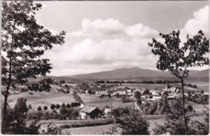 94556 Neuschönau (Bayerischer Wald), Rachel, Ortsansicht, ca. 1960