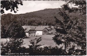 93474 Arrach (Bayerischer Wald), Gasthof Eck, ca. 1955