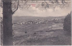 Neuern/Sudeten (Nyrsko), Ortsansicht, ca. 1905