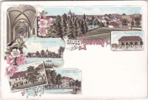 29574 Ebstorf (Bevensen-Ebstorf), u.a. Anstalt, Farblitho, ca. 1900