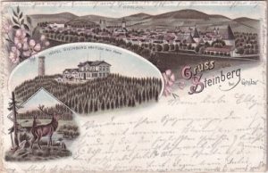 38640 Steinberg (Goslar), Hotel, Farblitho, ca. 1895